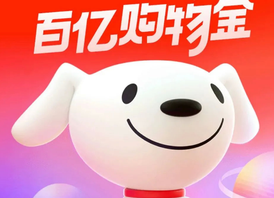  破解京东白条：轻松取出来额度的全攻略 第3张