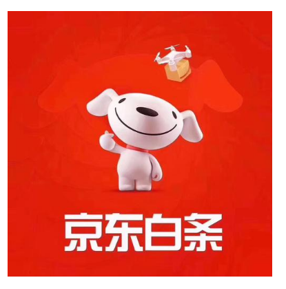 白条年轻化政策：在校学生专属教育场景额度限制说明 第1张