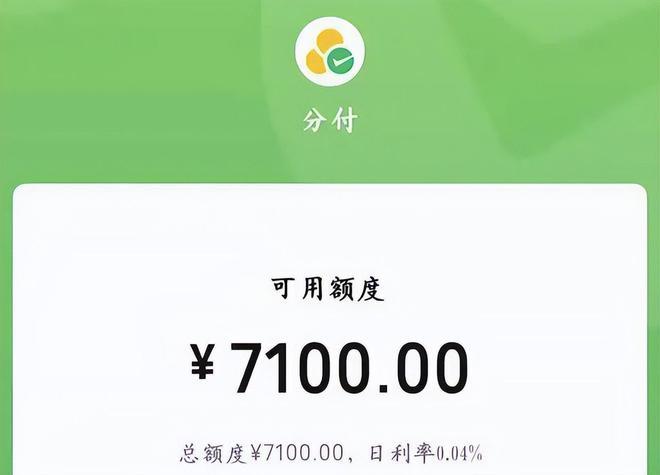 如何创新使用分付额度？速来学习变现技巧 第1张