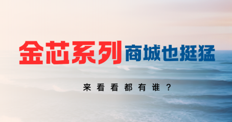 金芯商城格局远超同行!读懂金芯系,看懂一站式互通电商新生态 第3张 金芯商城格局远超同行!读懂金芯系,看懂一站式互通电商新生态 第3张